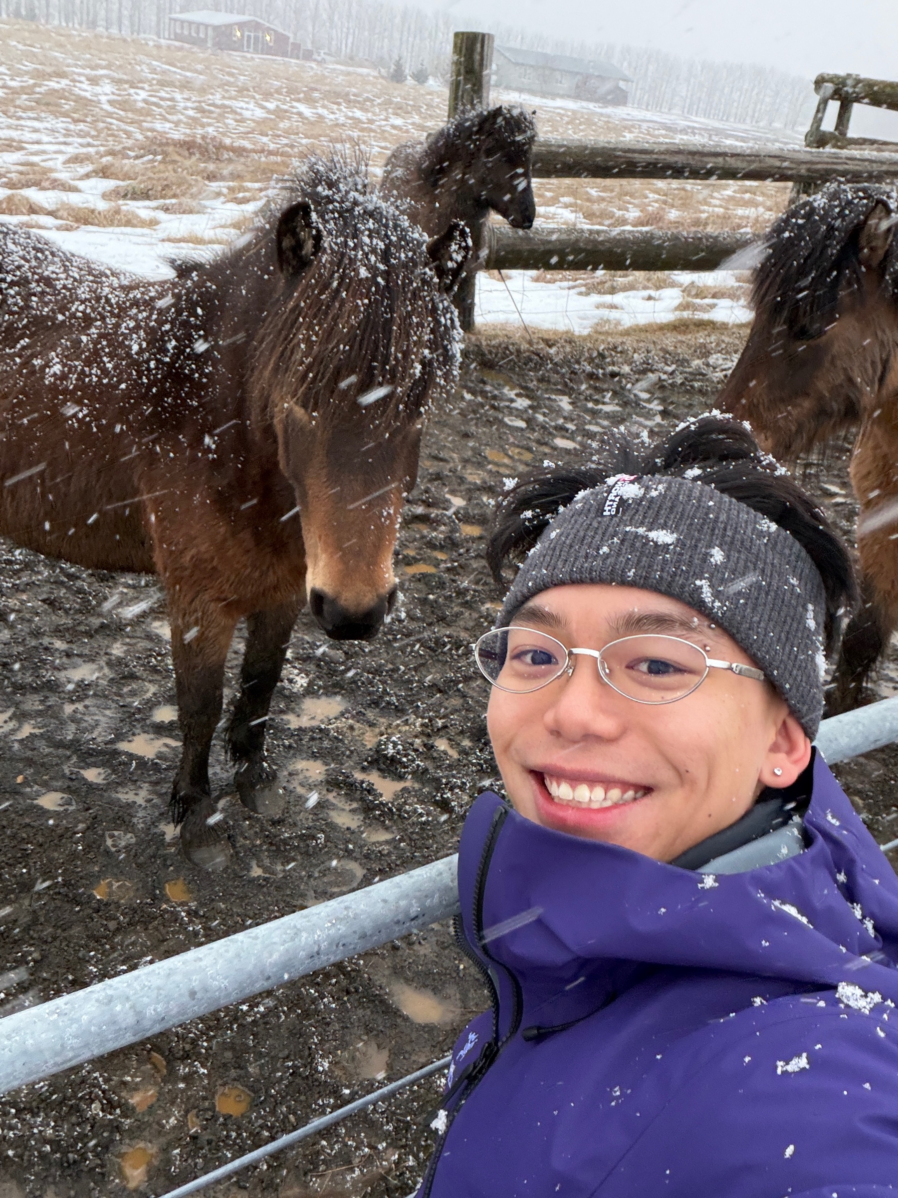 Jason Chen with horses on a snowy day